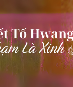 Nội tiết tố Hwang Jin