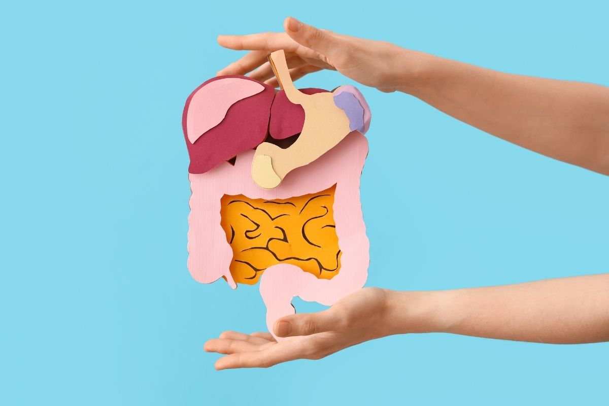 Thiếu enzyme ảnh hưởng tiêu hóa, làm giảm khả năng phân giải thức ăn và hấp thụ dinh dưỡng của cơ thể.